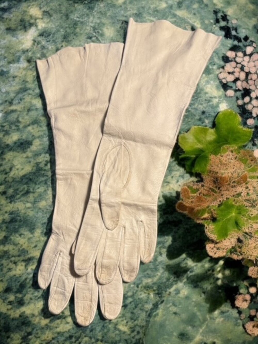 Lord & Taylor LANOLAU GLOVES Size 7 Cream